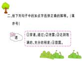 部编版 语文五年级上册 知识总结课件 ：8 冀中的地道战