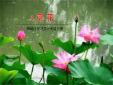 部編版語文三年級(jí)下冊(cè) 3《荷花》課件+教案+練習(xí)+課文朗讀