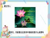 部編版語文三年級(jí)下冊(cè) 3《荷花》課件+教案+練習(xí)+課文朗讀