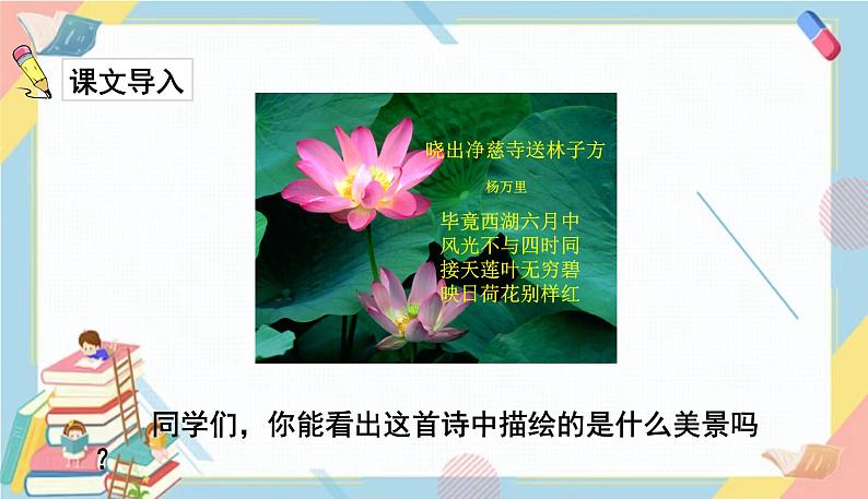 部编版语文三年级下册 3《荷花》课件+教案+练习+课文朗读02