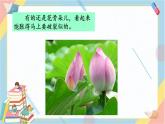 部編版語文三年級(jí)下冊(cè) 語文園地一課件PPT