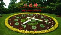 人教部编版三年级下册13 花钟公开课课文ppt课件
