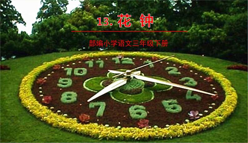 部编版语文三年级下册 13《花钟》课件+教案+练习+课文朗读01