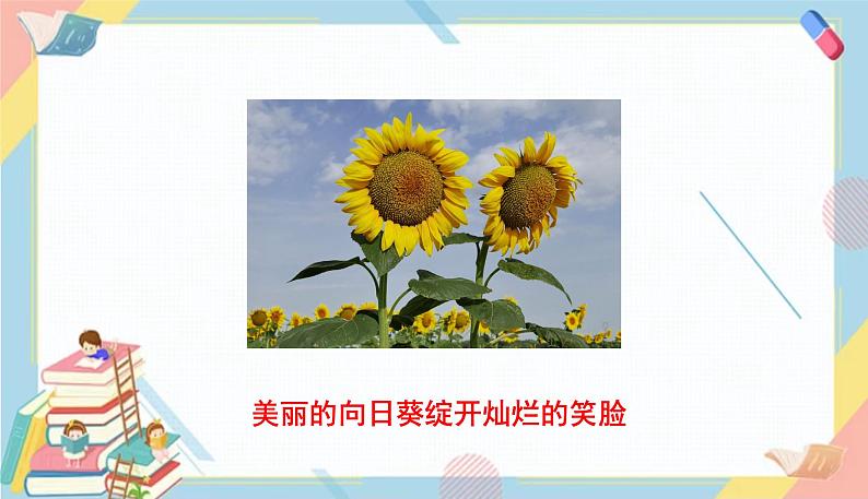 部编版语文三年级下册 13《花钟》课件+教案+练习+课文朗读03