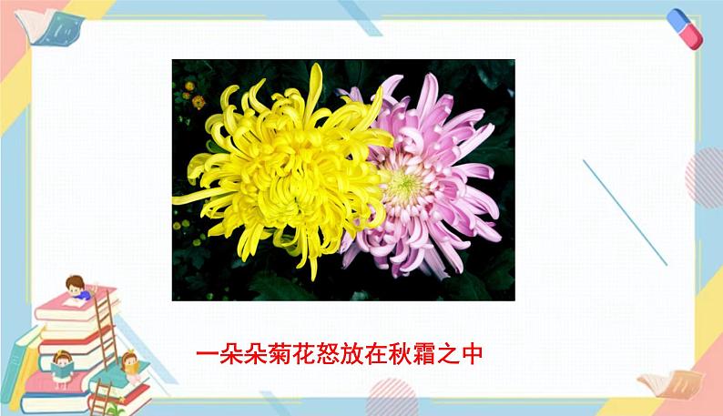 部编版语文三年级下册 13《花钟》课件+教案+练习+课文朗读04