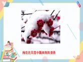 部编版语文三年级下册 13《花钟》课件+教案+练习+课文朗读