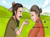 部编版语文三年级下册 28《枣核》课件+教案+练习+课文朗读