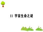 部编版 语文六年级上册 知识总结课件PPT ：11 宇宙生命之谜