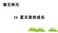 小学语文人教部编版六年级上册16 夏天里的成长教学演示ppt课件