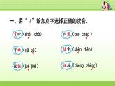 部编版  小学语文四年级（上）：专项复习PPT之一 字词专项