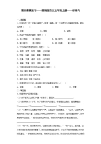 期末课课复习——部编版语文五年级上册——珍珠鸟