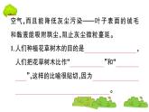 部编版 语文六年级上册 知识总结课件PPT ：语文园地六