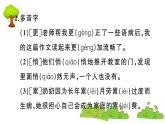 部编版 语文五年级上册 第七单元知识总结课件PPT