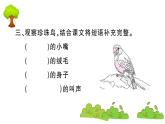 部编版 语文五年级上册 知识总结课件 ：4 珍珠鸟