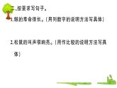 部编版 语文五年级上册 知识总结课件 ：习作园地五