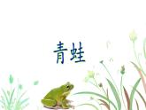 部编版（五四制）语文一下 识字3.《小青蛙》课件