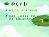部編版（五四制）語(yǔ)文一下 13 《荷葉圓圓》第二課時(shí)課件