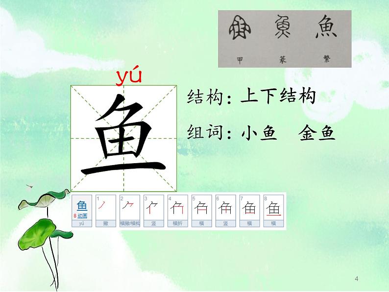 部编版（五四制）语文一下 13 《荷叶圆圆》第二课时课件04