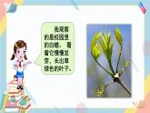 部编版语文三年级下册：我的植物朋友  课件PPT