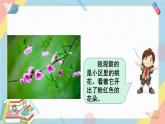 部编版语文三年级下册：我的植物朋友  课件PPT