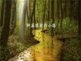 部編版（五四制）語文二下 3 開滿鮮花的小路 課件