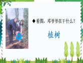 部编版（五四制）语文二下 4 邓小平爷爷植树 课件