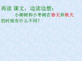 部編版（五四制）語文二下 語文園地三 課件