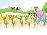 部编版（五四制）语文二下 12 寓言二则 课件