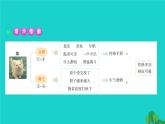 四年级语文下册第四单元13猫课件新人教版