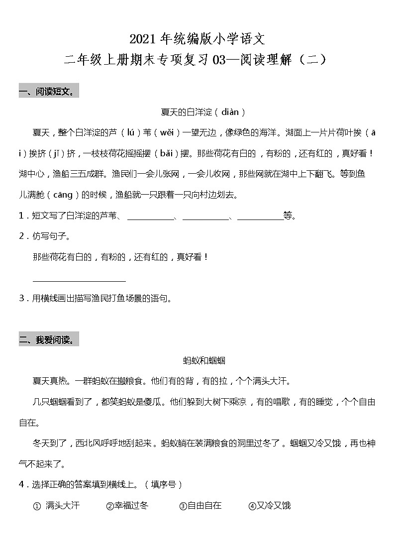 统编版小学语文二年级上册期末专项复习03—阅读理解（二）（含答案） 练习01