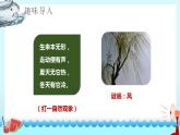 二年级语文上册课件-24.风娃娃9-部编版(共22张PPT)