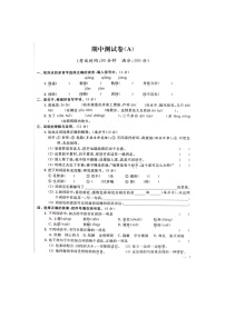 人教部编版 语文五年级上册 期中试卷A（含答案解析）