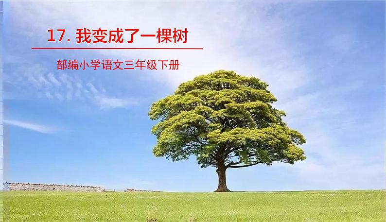 部编版语文三年级下册 17《我变成了一棵树》课件+教案+练习+课文朗读01