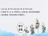 部编版（五四制）三下 1.1三衢道中 课件