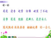 部编版（五四制）三下 3 荷花 课件