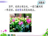 部编版（五四制）三下 3 荷花 课件