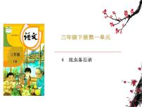 小学语文人教部编版 (五四制)三年级下册4* 昆虫备忘录试讲课课件ppt