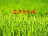 部编版（五四制）三下 4 昆虫备忘录 课件