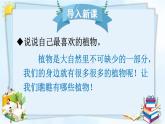 部编版（五四制）三下 习作：我的植物朋友 课件