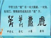 部編版（五四制）三下 7 鹿角和鹿腿 課件