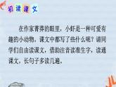 部编版（五四制）三下 15 小虾 课件