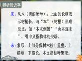 部编版（五四制）三下 15 小虾 课件
