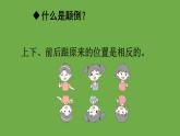 部编版（五四制）三下 习作例文：尾巴它有一只猫  课件