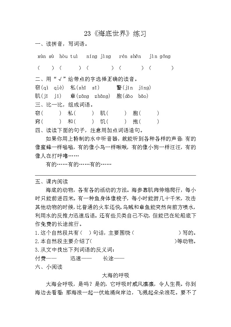 部编版（五四制）三下 23《海底世界》练习01