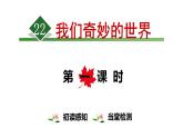 部编版（五四制）三下 22 我们奇妙的世界【第1课时】课件