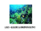 部编版（五四制）三下 23 海底世界 课件