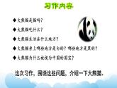 部编版（五四制）三下 第七单元习作：国宝大熊猫 课件