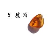 部編版（五四制）四下 5.琥珀課件