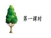 部編版（五四制）四下 5.琥珀課件