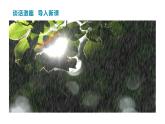 部編版（五四制）四下 12.在天晴了的時(shí)候課件